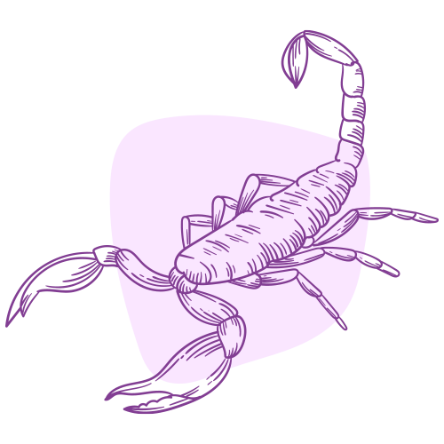 horoscope-mois-Scorpion