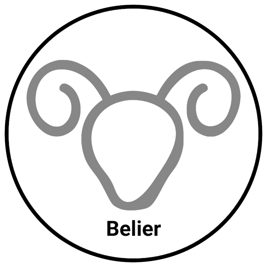 Bélier