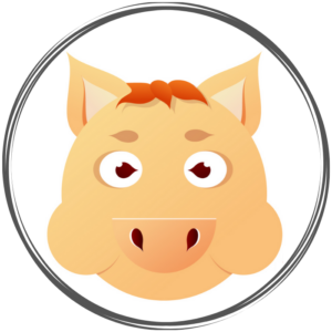 Portrait astro chinois du cochon