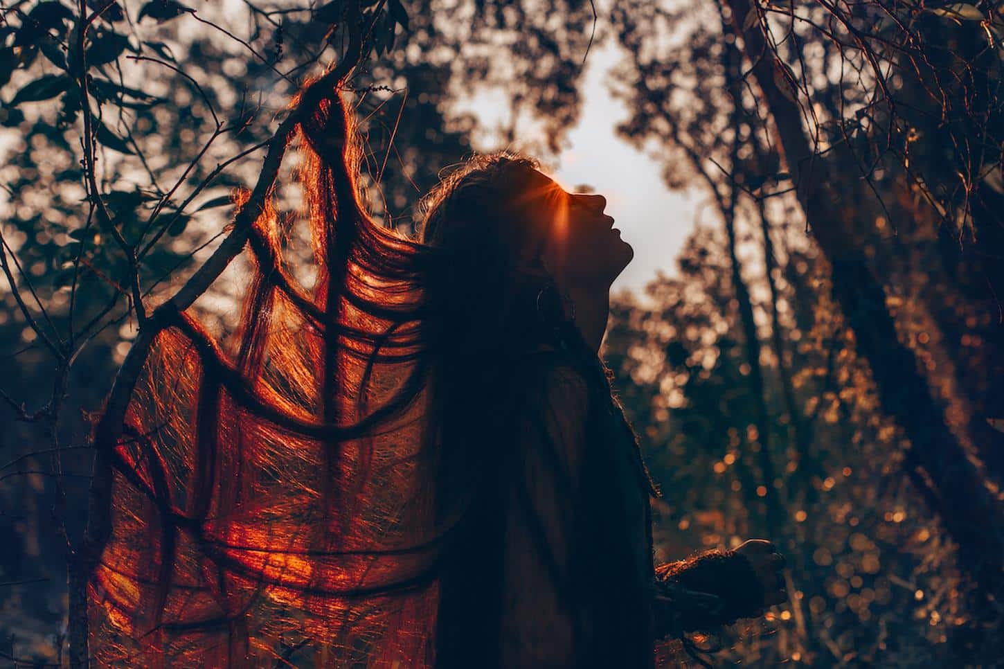 femme dans la foret qui regarde le ciel