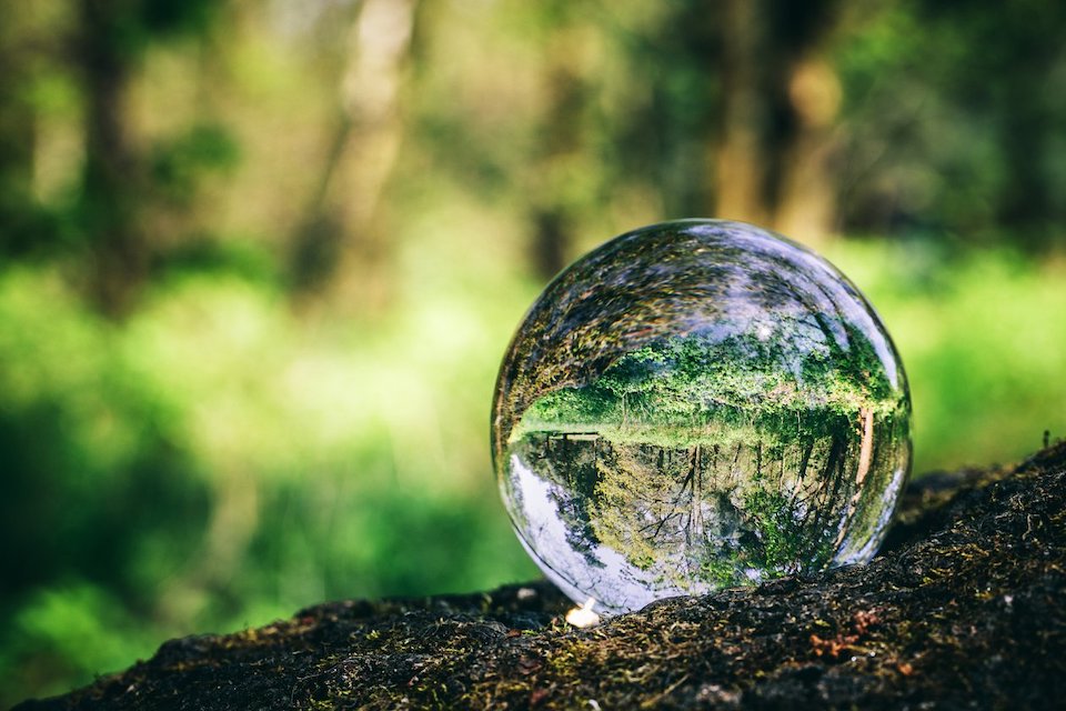 boule de cristal dans la foret