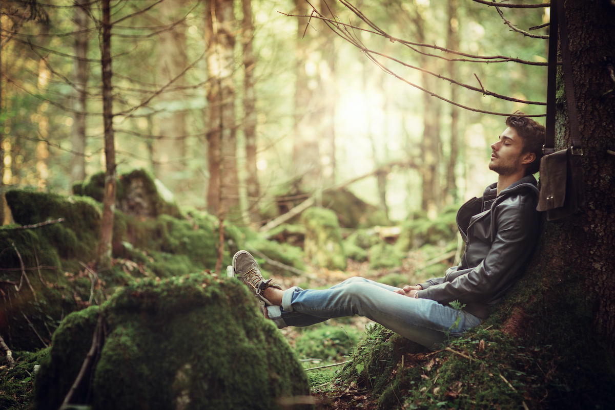 homme assis contre un arbre dans la foret