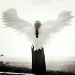 un ange de dos regardant l'horizon 
