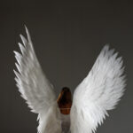 un ange ailé vue de dos 