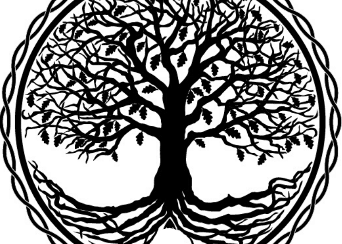 arbre de vie