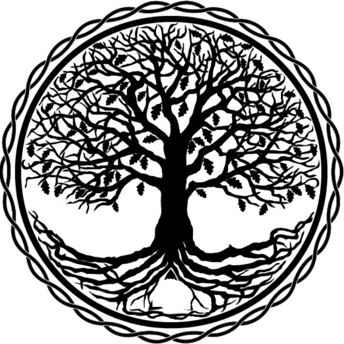 Arbre de vie : origines, significations et symboles •