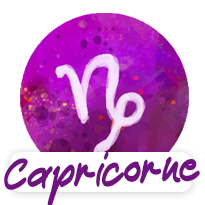 capricorne logo blog