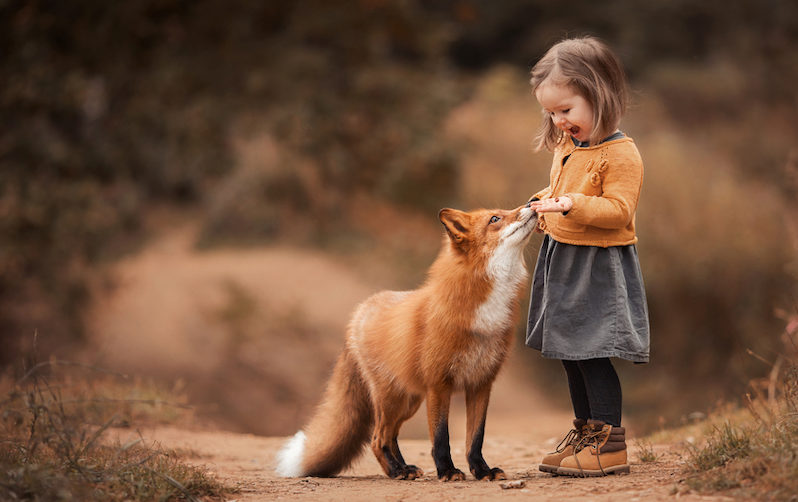 petite fille avec un renard dans la foret
