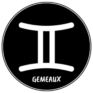 GEMEAUX 2017 ~ cabinet-kld-voyance