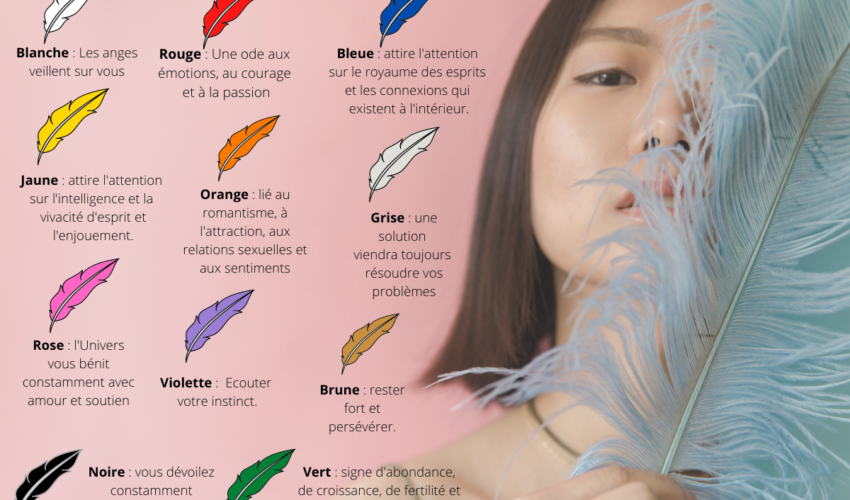 signification et la symbolique des plumes, selon leur couleur.