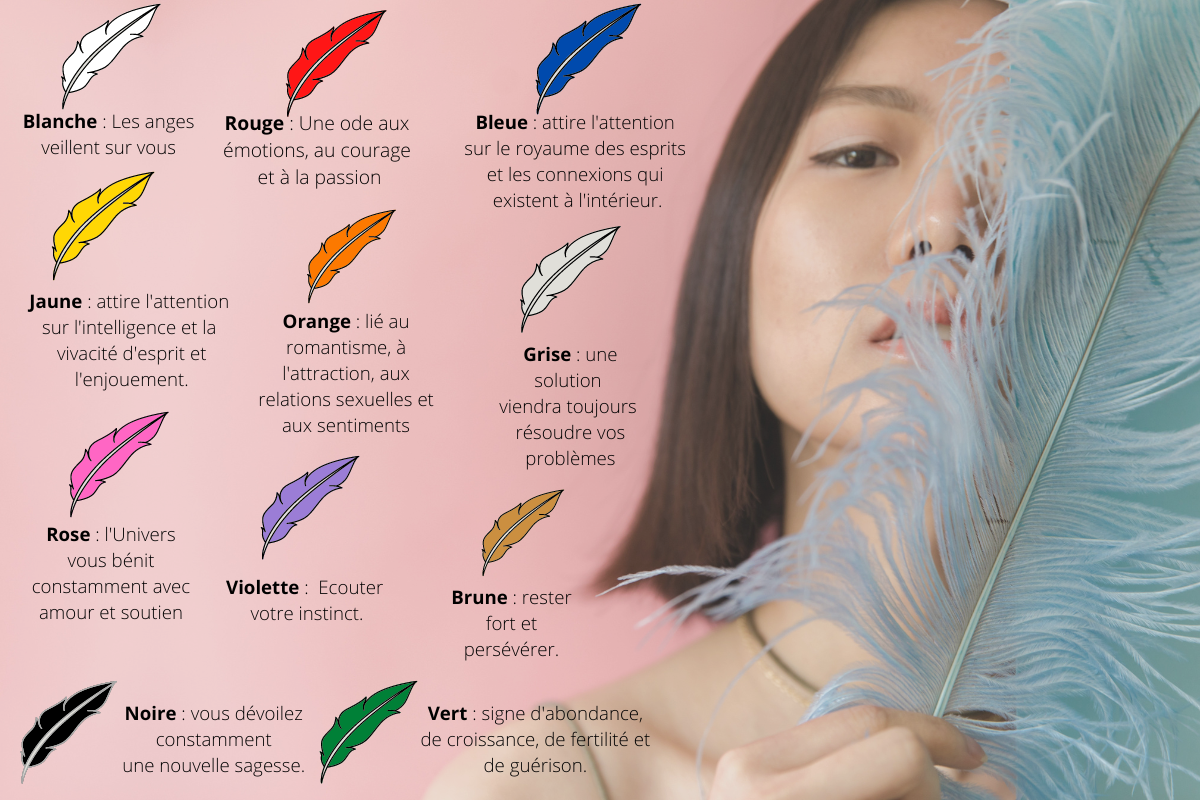 Signification des plume selon leur couleur