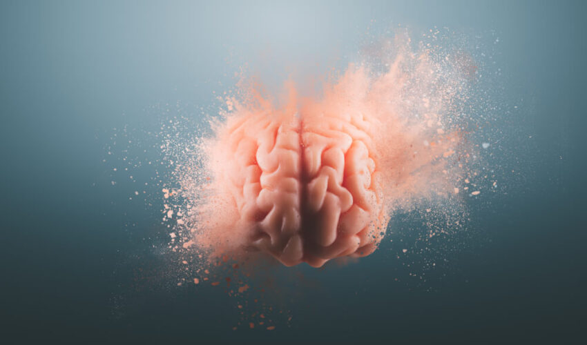 cerveau humain